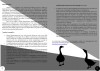 Astritsi_Program_3_4